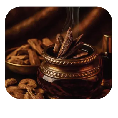collection-img